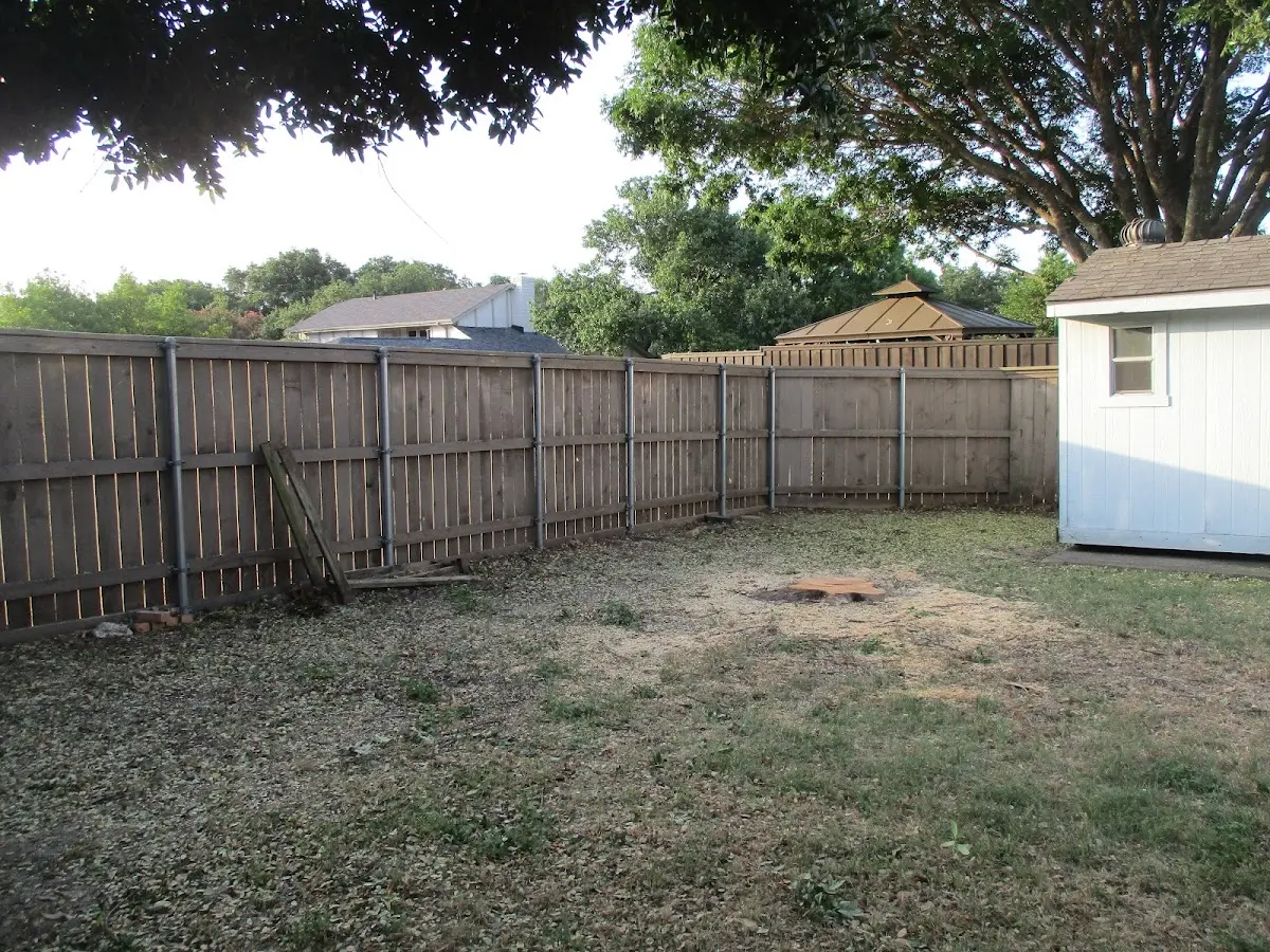 Cleared yard after professional tree removal in Drybranch